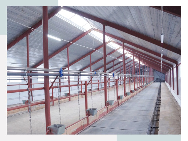 Строительство коровников в Бугульме от 606 руб.