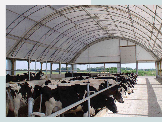 Тентовые коровники в Бугульме